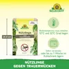 Neudorff SF Nematoden gegen Trauermücken - 5 Mio - für 50 Produktbild-Vorschau 3