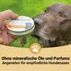 Canifee Pfotenbalsam für Hunde mit Manukahonig in der 100ml Produktbild-Vorschau 5