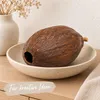 Kakaoschote getrocknet 10-15 cm echte Kakaofrucht ohne Produktbild-Vorschau 7