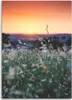 Leinwandbild wiese und sonnenuntergang 80x120 cm Feeby Produktbild-Vorschau 3