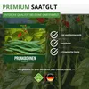Prunkbohnen Preisgewinner Samen - Phaseolus coccis - Produktbild-Vorschau 8