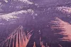 jilda-tex Strandtuch/Badetuch (Miami) 90 x 180 cm Produktbild-Vorschau 2