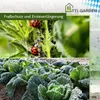 TTL GARDEN Tunnelbögen ARCOS 60-12er Set + Vogelschutznetz Produktbild-Vorschau 6