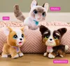 Furreal Poopalots Piesek Interaktywny na smyczy Hasbro Podgląd zdjęcia produktu 17