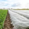 MIKONI Pflanzvlies | 1,1 m x 5 m |  Weiß | Frostschutzvlies Produktbild-Vorschau 5
