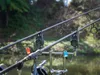Fishing rods with bite alarms set up by a body of water. Produktbild-Vorschau