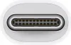 A close-up view of the connector end of an Apple Thunderbolt 3 (USB-C) to Thunderbolt 2 adapter. Produktbild-Vorschau