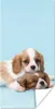 MuchoWow® Poster Zwei schläfrige Welpen 60x120 cm - Produktbild-Vorschau 1