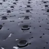 A close-up, angled view of a black bath mat with suction cups and cutouts. Produktbild-Vorschau