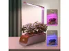A smart planter with an LED grow light on a wooden surface. Produktbild-Vorschau