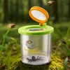 Becherlupe mit Spinne Produktbild-Vorschau 5