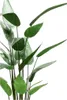 Szmaragdowa sztuczna roślina heliconia zielona 125 cm Podgląd zdjęcia produktu 2