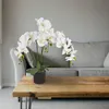Künstliche Blumen Orchidee Orchideen Pflanzen Kunstpflanze Produktbild-Vorschau 4