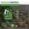 Schwammgurke Luffa Samen - Luffa cylindrica - Gurkesamen - Produktbild-Vorschau 8
