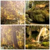Bilder auf glas - Wald Wasserfall Natur Umwelt - 40x40cm - Produktbild-Vorschau 8