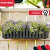 KOTARBAU® Blumenkasten Balkon Blumentopf Selbstbewässernd Produktbild-Vorschau 2