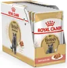 A display box of Royal Canin British Shorthair cat food pouches. Produktbild-Vorschau