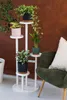 A white plant stand with multiple plants is placed next to a green chair. Anteprima dell’immagine prodotto