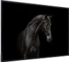 MuchoWow® MuchoWow® Gerahmtes Poster Pferd - Tier - Schwarz Produktbild-Vorschau 7