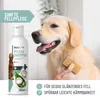 REAVET Hundeshampoo mit Kokosöl 250ml – Pflegeshampoo für Produktbild-Vorschau 4