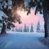 Korsch Kalender 2027 Magische Wälder mit großem Bild und Produktbild-Vorschau 5