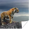 MuchoWow® Poster Tiger - Berg - Natur - Landschaft 75x75 cm Produktbild-Vorschau 1