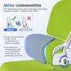 Hiazurm Bürostuhl, Schreibtischstuhl, bürostuhl ergonomisch Produktbild-Vorschau 2
