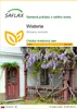 SAFLAX - Wisteria - Wisteria sinensis - 4 Semená Náhľad obrázku produktu 1