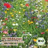 Samenliebe  Wildblumen Samen | Wildblumenwiese mit 30 Produktbild-Vorschau 4