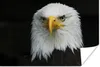 MuchoWow® Poster Adler - Schwarz - Weiß 120x80 cm - Bilder Produktbild-Vorschau 1