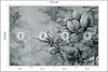 Muralo Selbstklebende Fototapete BLUMEN Pflanzen Beton Produktbild-Vorschau 2