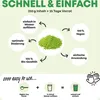 Gerstengrassaft Pulver (250 g XL Vorrat) mit Chlorophyll Produktbild-Vorschau 5
