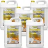 Bioetanolo inodore 96,6% 25L per caminetti universali senza Anteprima dell’immagine prodotto 1