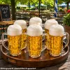 Set da 12 boccali da birra Mani da 0,5 l, graduati, con Anteprima dell’immagine prodotto 3