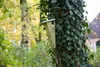 Cassetta nido Esschert Design per giardino; NKBK Anteprima dell’immagine prodotto 8
