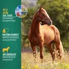 Agrarzone avena nera cavallo 20 kg Anteprima dell’immagine prodotto 3
