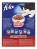 Felix Sensations mit Rind, Huhn und Gemüsezugabe 1 kg, Produktbild-Vorschau 5