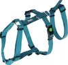 Kerbl Panikgeschirr Miami (Halsumfang 48 - 64 cm, Produktbild-Vorschau 1