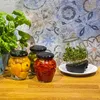 3 X Keimglas Twist-Off + Radieschensamen KEIMGERäT KEIMBOX Produktbild-Vorschau 13