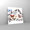 Bilder auf glas - Schmetterlinge Illustration Bunt Flügel - Produktbild-Vorschau 4