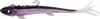 Zeck ZANDER Pelagi Set 20cm - montierter Gummifisch, Produktbild-Vorschau 4