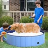 Pawhut Hundepool Planschbecken Schwimmbecken Schwimmbad Produktbild-Vorschau 2
