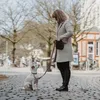 Hunter Inari, Hund, Trainingsleine, Beige, Band, tan, Produktbild-Vorschau 9