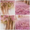 Bild auf Leinwand - Leinwandbild - Einteilig - Baum Blumen Produktbild-Vorschau 8