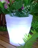 A glowing LED solar planter with plants sits on a wooden deck, surrounded by greenery. Produktbild-Vorschau