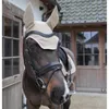 Kentucky Horsewear Fliegenhaube Wellington Softshell Produktbild-Vorschau 2