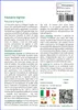 SAFLAX  - Faucaria tigrina - 40 semi - Faucaria Anteprima dell’immagine prodotto 3