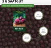 Rote Beete Rote Kugel 2 Samen - Beta vulgaris - Rübensamen Produktbild-Vorschau 3