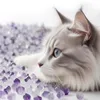 8x 3,8L Mersjo Lettiera per gatti al Silicio Lavanda – Anteprima dell’immagine prodotto 6