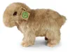Peluche Capibara 30 Cm Ecologico Anteprima dell’immagine prodotto 3